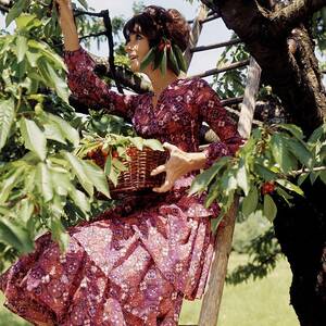 Audrey Hepburn Picking Cherries In Her Orchard by Henry Clarke Audrey Hepburn Picking Cherries In Her Orchard by Henry Clarke