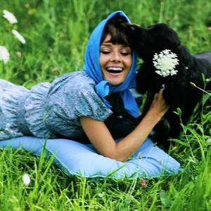 Audrey Hepburn With Her Dog by Henry Clarke Audrey Hepburn With Her Dog by Henry Clarke