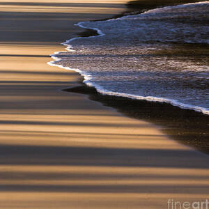 Beach Shadows by Steven Ralser Beach Shadows by Steven Ralser