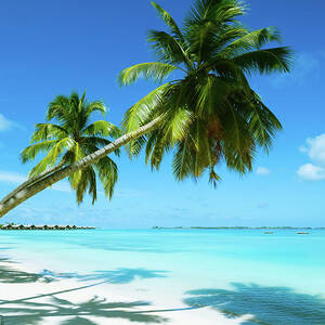 Beautiful Beach Resort by Phototalk Beautiful Beach Resort by Phototalk
