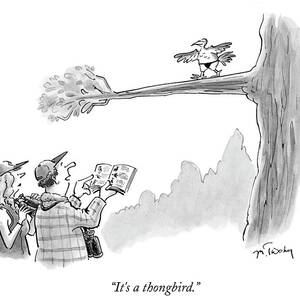 Bird Watchers Spot A Bird Wearing A Thong by Mike Twohy Bird Watchers Spot A Bird Wearing A Thong by Mike Twohy