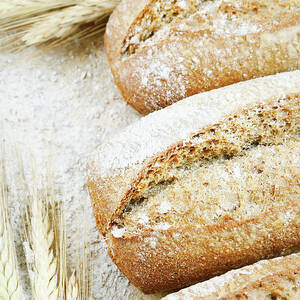 Bread by Cactusoup