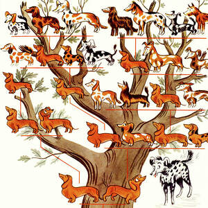 New Yorker February 12, 1938 by Constantin Alajalov New Yorker February 12, 1938 by Constantin Alajalov