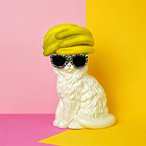 Cat Wearing Sunglasses And Banana Wighat by Juj Winn Cat Wearing Sunglasses And Banana Wighat by Juj Winn
