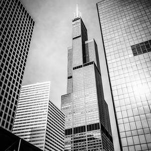 Chicago Willis-Sears Tower in Black and White by Paul Velgos Chicago Willis-Sears Tower in Black and White by Paul Velgos