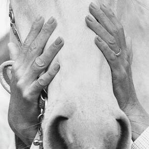 Conchita Cintron Holding The Head Of A Horse by Henry Clarke Conchita Cintron Holding The Head Of A Horse by Henry Clarke