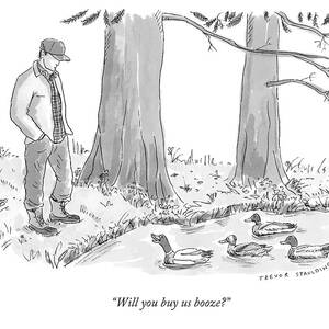 Ducks In A Pond Speak To A Man by Trevor Spaulding