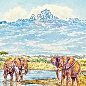 Elephants Bathing by Joseph Thiongo