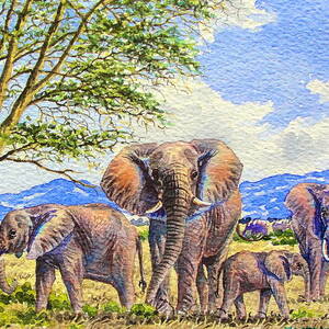 Elephants by Joseph Thiongo