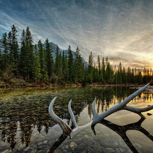 Elk Antler Adds Reflection To Mountain by Ascent Xmedia