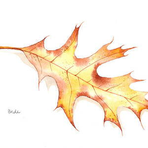 Falling by Catherine Bede