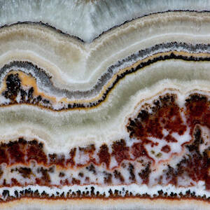 Flower Onyx, Close-up Of Pattern by Darrell Gulin
