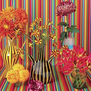 Flower Vases Against Striped Fabric by Lisa Charles Watson
