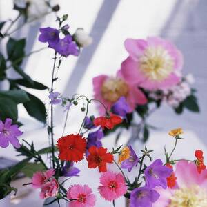 Flowers In Vases by Horst P. Horst