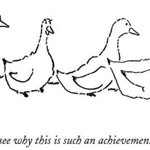 Four Ducks Stand In A Row by Michael Shaw