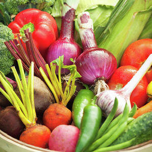 Freshly Harvested Variety Of Produce by Yinyang