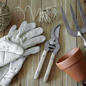 Gardening Tools, Still Life by Debby Lewis-harrison Gardening Tools, Still Life by Debby Lewis-harrison