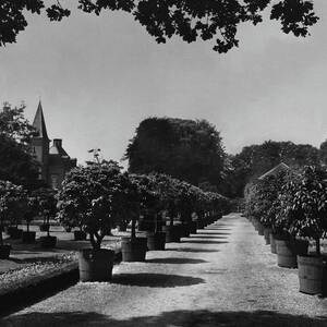 Gardens Of Twickel Castle by Constantin Joffe