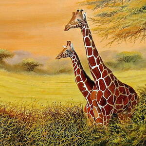 Giraffes Watching by Wycliffe Ndwiga