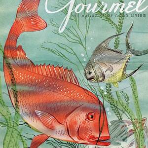 Gourmet Cover Featuring A Snapper And Pompano by Henry Stahlhut Gourmet Cover Featuring A Snapper And Pompano by Henry Stahlhut