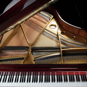 Grand Piano Overview, Keyboard by Dszc Grand Piano Overview, Keyboard by Dszc