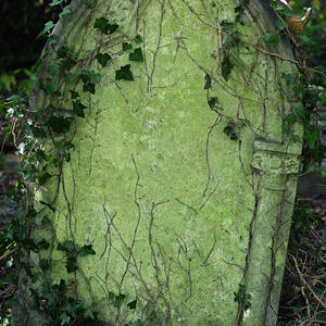 Halloween Tombstone Vine Covered by Peskymonkey