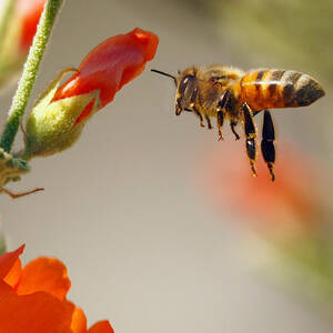 Hangin Six by Joe Schofield