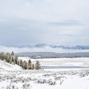 Hayden Valley in Yellowstone on a Spring Morning by Natural Focal Point Photography