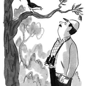 I Don't Sing Because I Am Happy.  I Am Happy by Edward Frascino