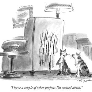 I Have A Couple Of Other Projects I'm Excited by Mike Twohy I Have A Couple Of Other Projects I'm Excited by Mike Twohy