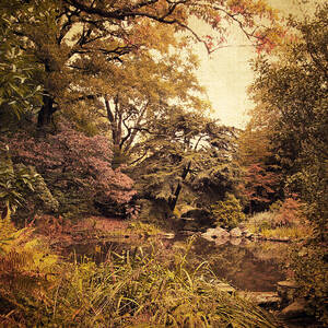 Intimate Landscape by Jessica Jenney