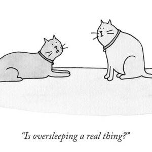 Is Oversleeping A Real Thing? by Amy Hwang