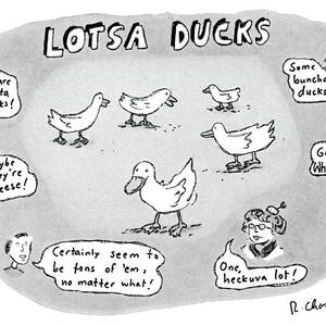 Lotsa Ducks by Roz Chast