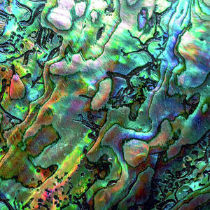 Luxury Background Of Blue Abalone Pearl by Elen11 Luxury Background Of Blue Abalone Pearl by Elen11