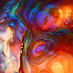 Magic Shell 2 by Rona Black Magic Shell 2 by Rona Black