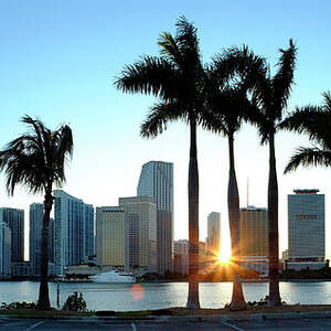 Miami Skyline Viewed Over Marina by Travelpix Ltd