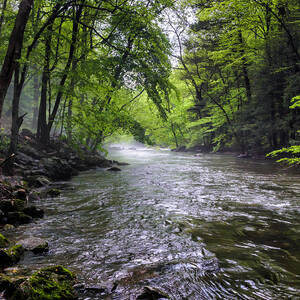 Mist on the River of Life by Louis Dallara Mist on the River of Life by Louis Dallara