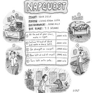 Napquest by Roz Chast Napquest by Roz Chast