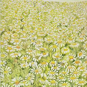 New Yorker June 16th 1973 by Ilonka Karasz