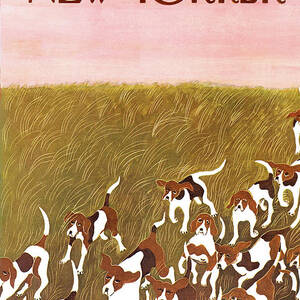 New Yorker November 6th, 1965 by Ilonka Karasz