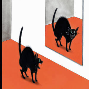 Scaredy Cat by Ian Falconer