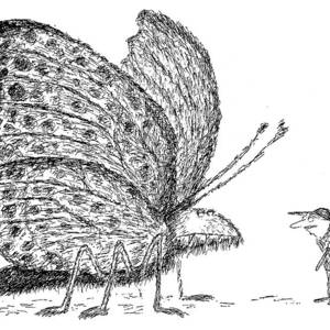 New Yorker September 3rd, 1979 by Edward Koren