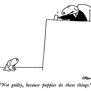Not Guilty, Because Puppies Do These Things by Charles Barsotti