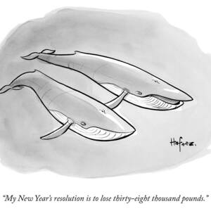 One Whale Says To Another by Kaamran Hafeez