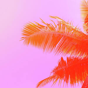 Palm Tree On Sky Background. Palm Leaf by Slavadubrovin Palm Tree On Sky Background. Palm Leaf by Slavadubrovin
