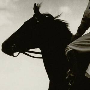 Race Horse Gallant Fox by Edward Steichen