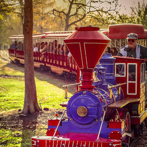 Riding out of the Sunset on the Hermann Park Train by David Morefield