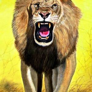 Roar by Wycliffe Ndwiga
