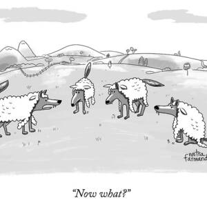 Several Wolves In Sheep's Clothing Converge by Mitra Farmand Several Wolves In Sheep's Clothing Converge by Mitra Farmand