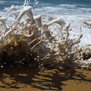 Shorebreak - The Wedge by Joe Schofield